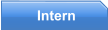 Intern